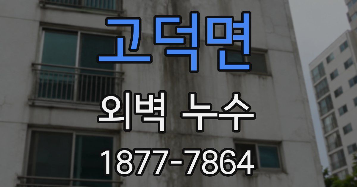 고덕면 외벽 누수