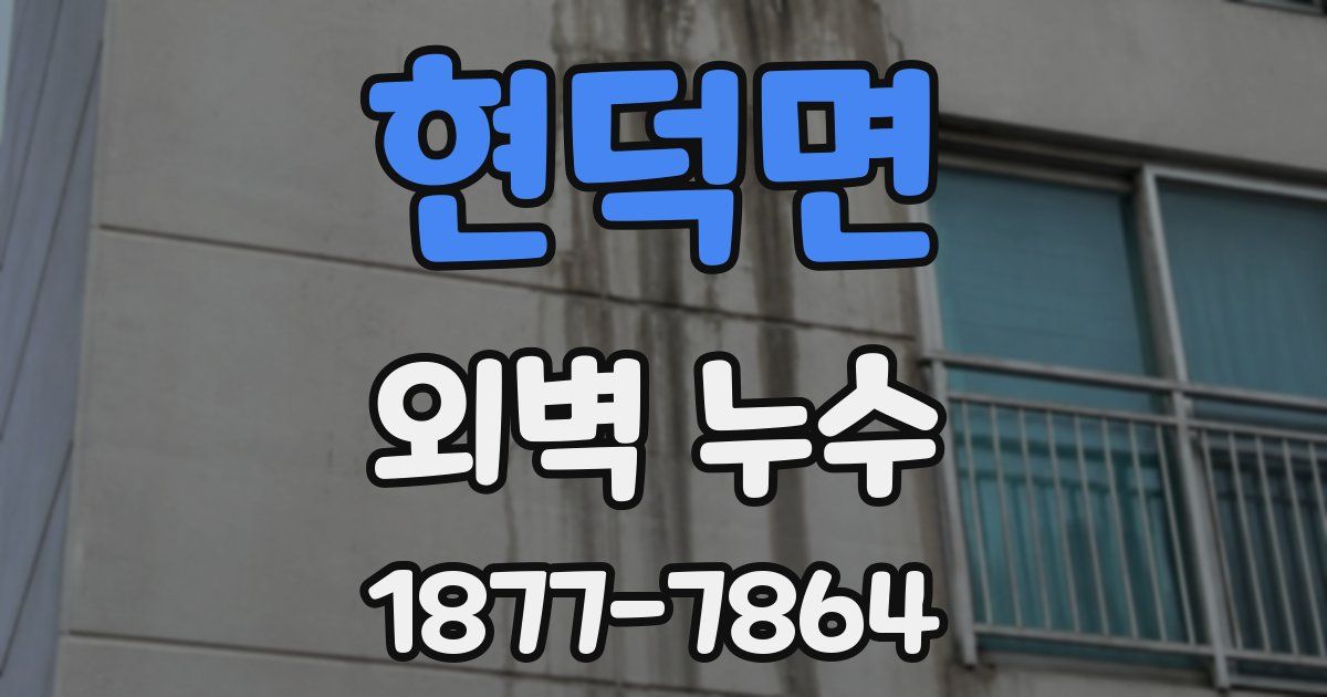 현덕면 외벽 누수