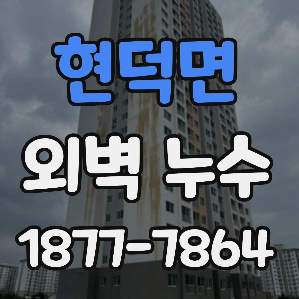 현덕면 외벽 누수