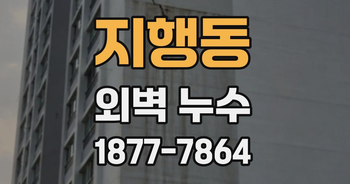 지행동 외벽 누수