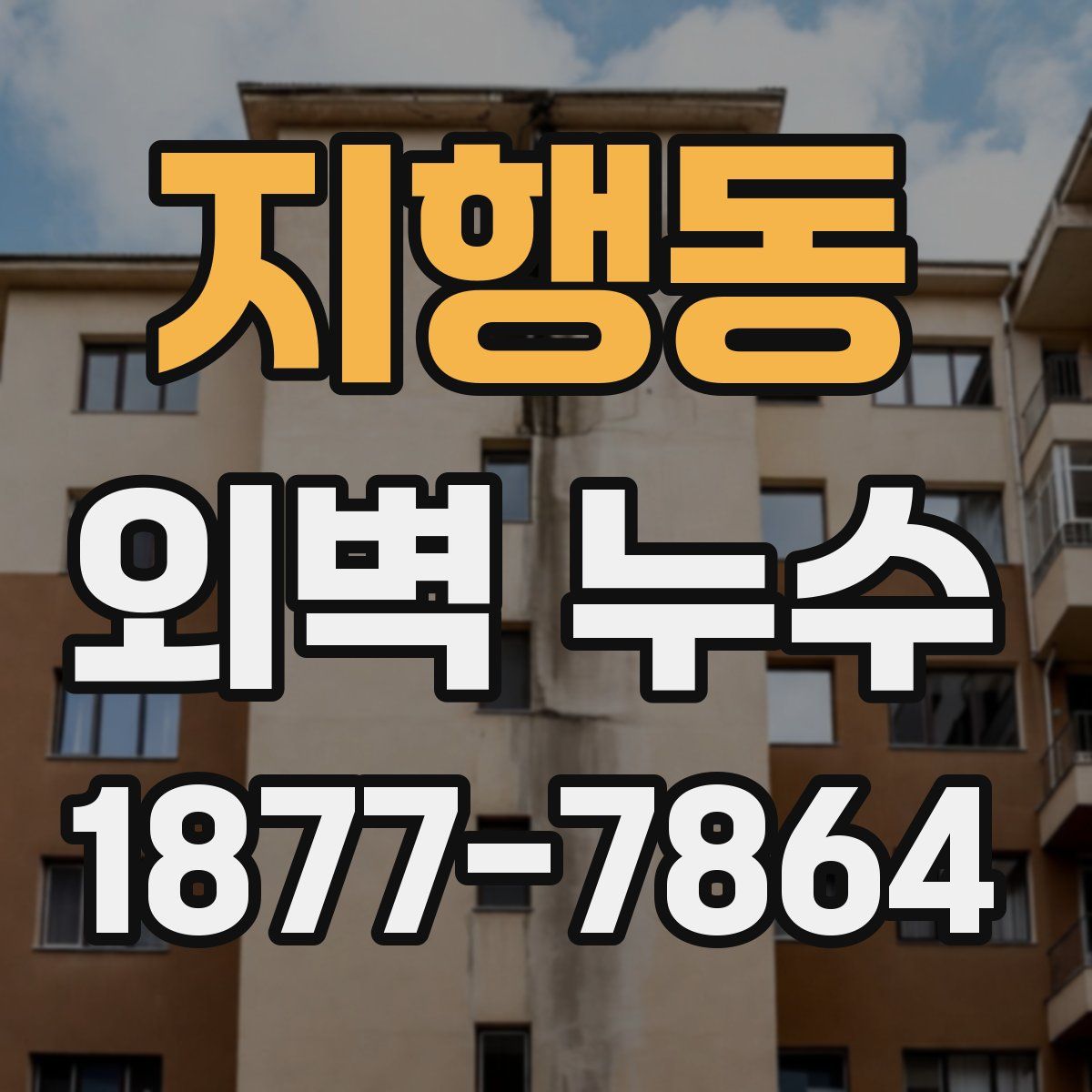 지행동 외벽 누수