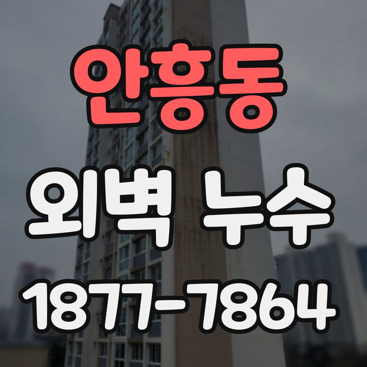 안흥동 외벽 누수