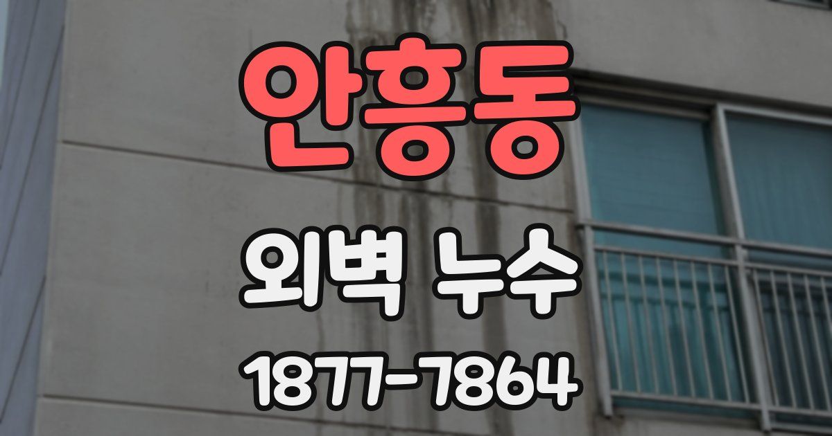 안흥동 외벽 누수
