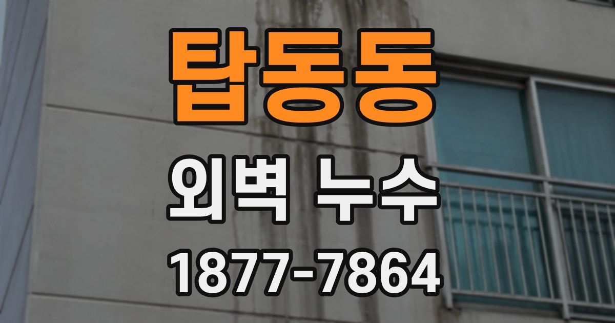 탑동동 외벽 누수