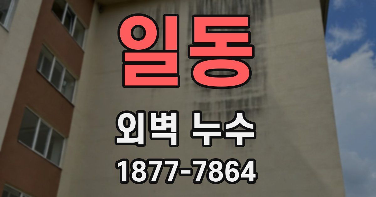 일동 외벽 누수