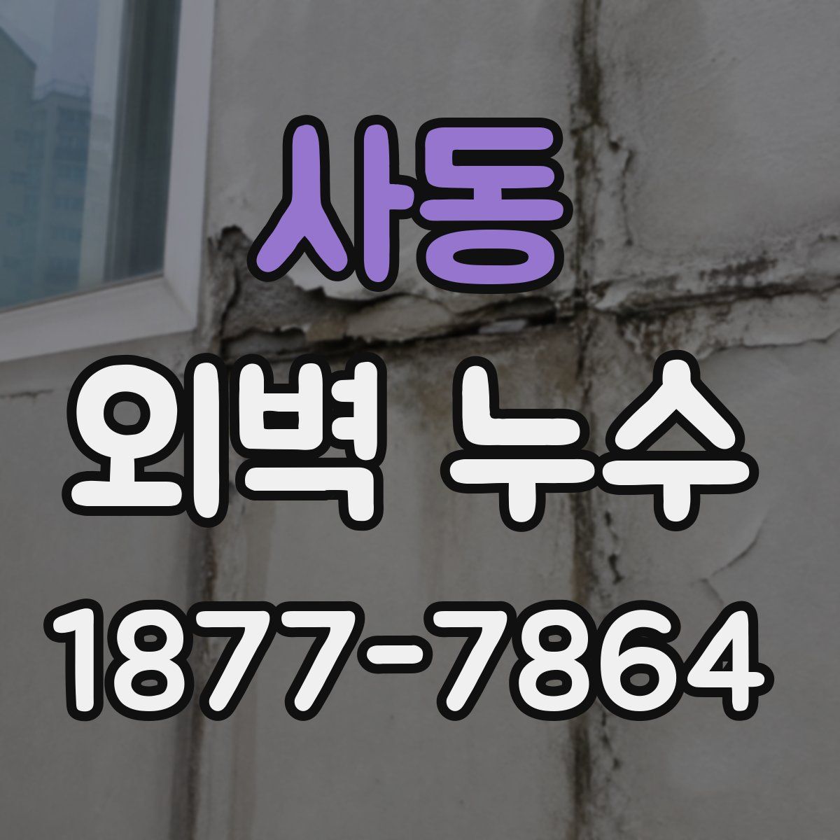 사동 외벽 누수