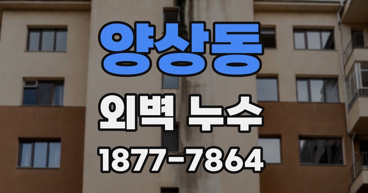 양상동 외벽 누수