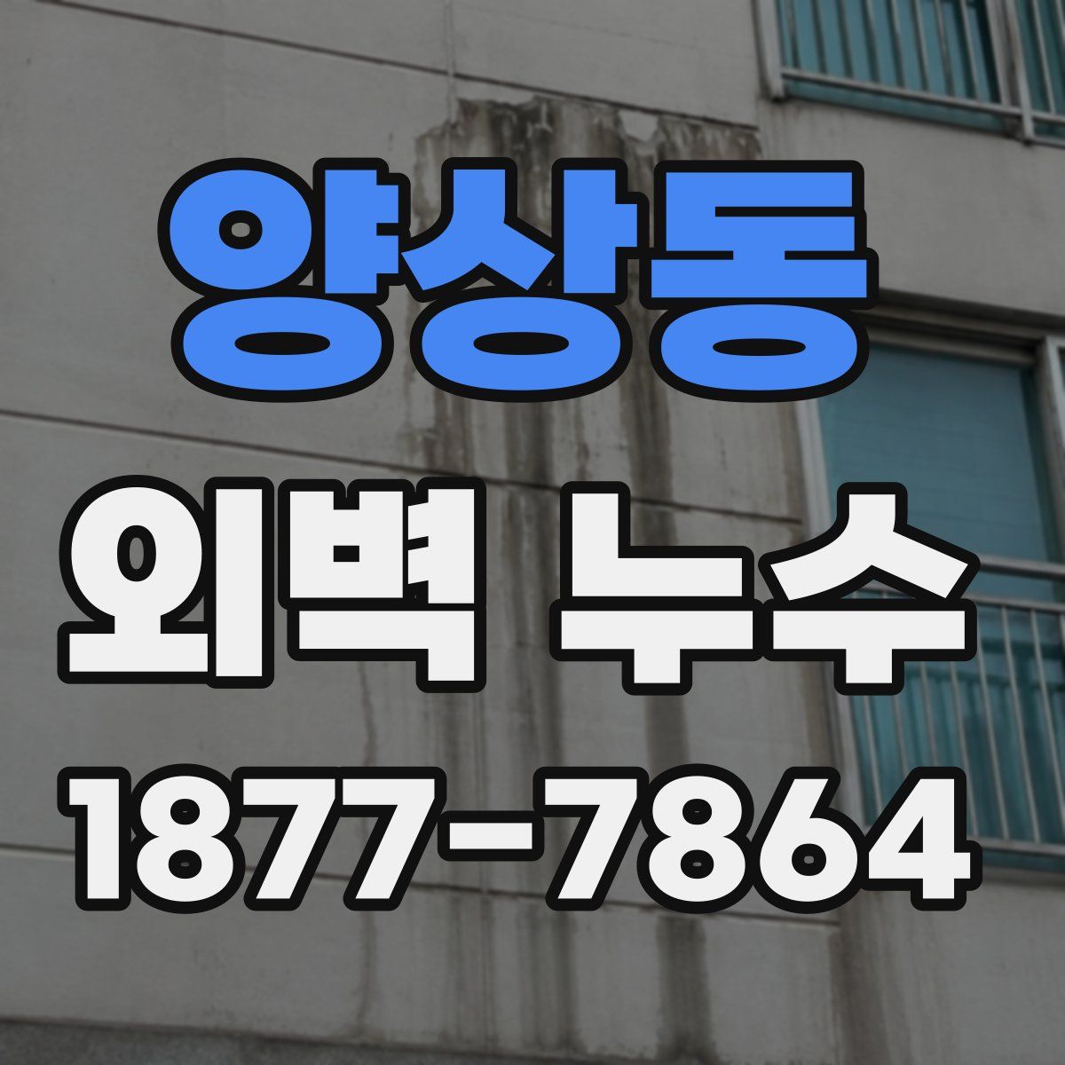 양상동 외벽 누수