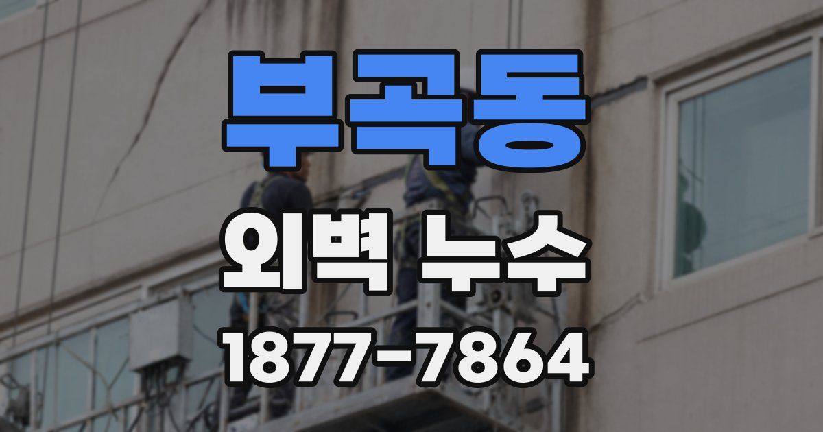 부곡동 외벽 누수
