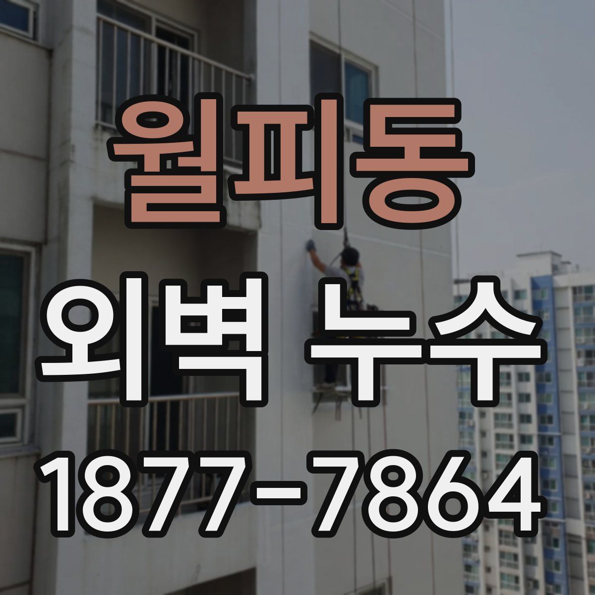 월피동 외벽 누수