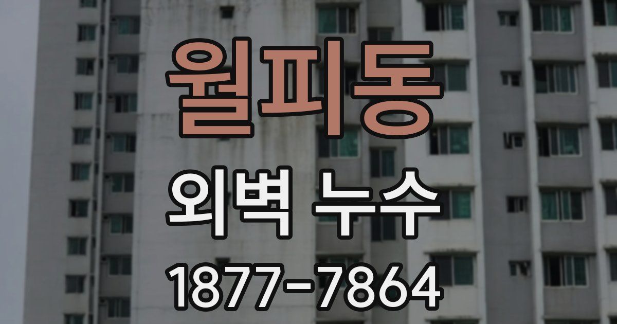 월피동 외벽 누수