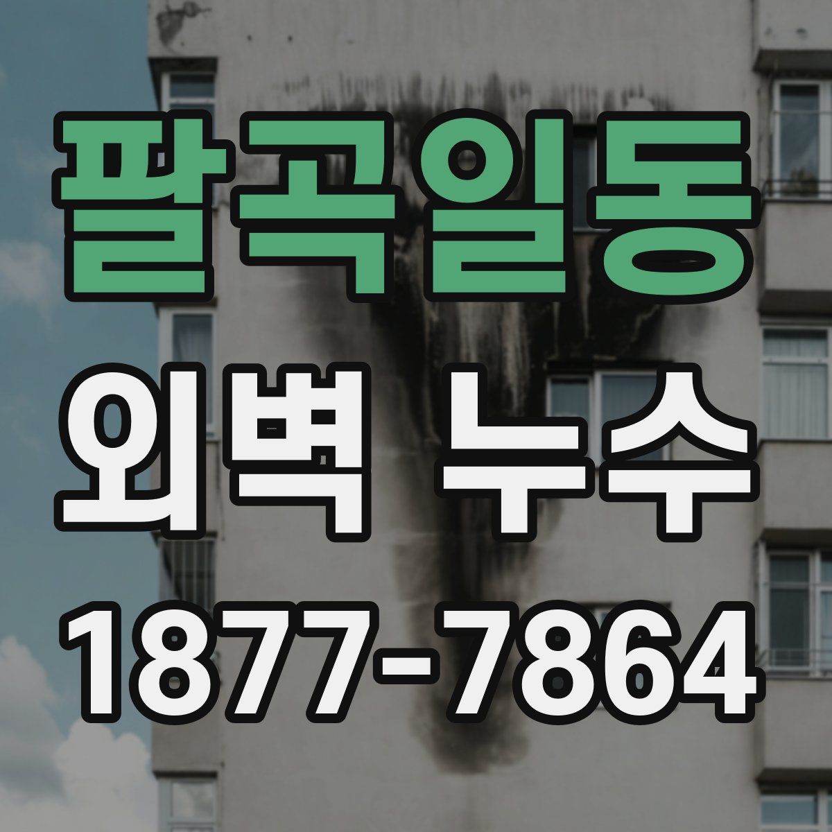 팔곡일동 외벽 누수