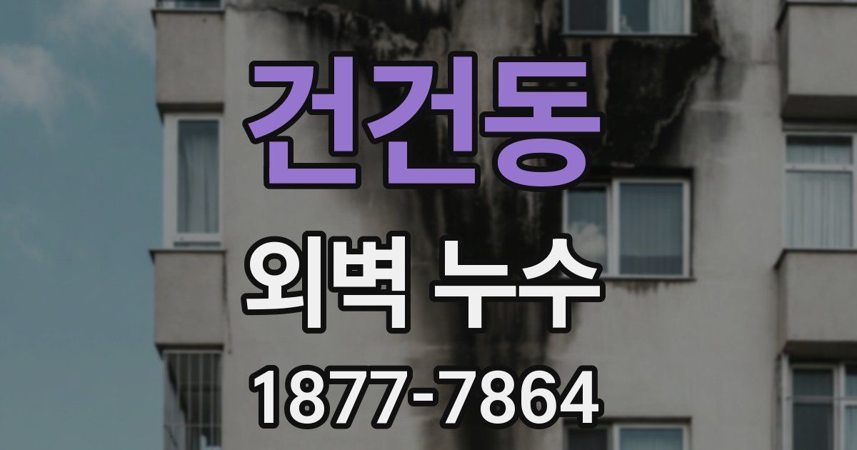 건건동 외벽 누수