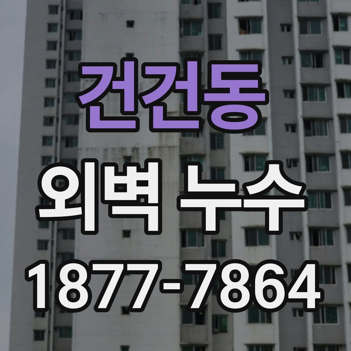 건건동 외벽 누수