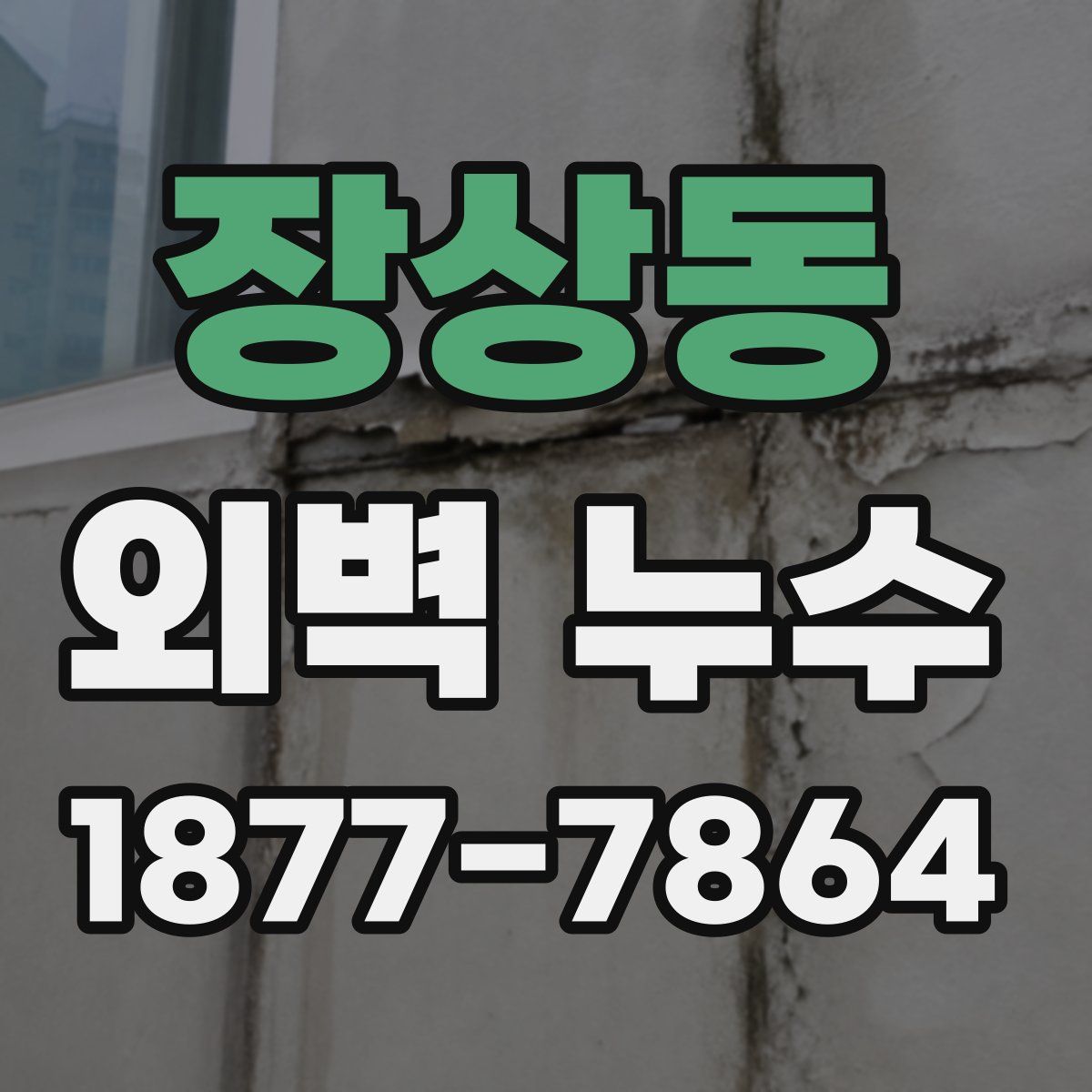 장상동 외벽 누수