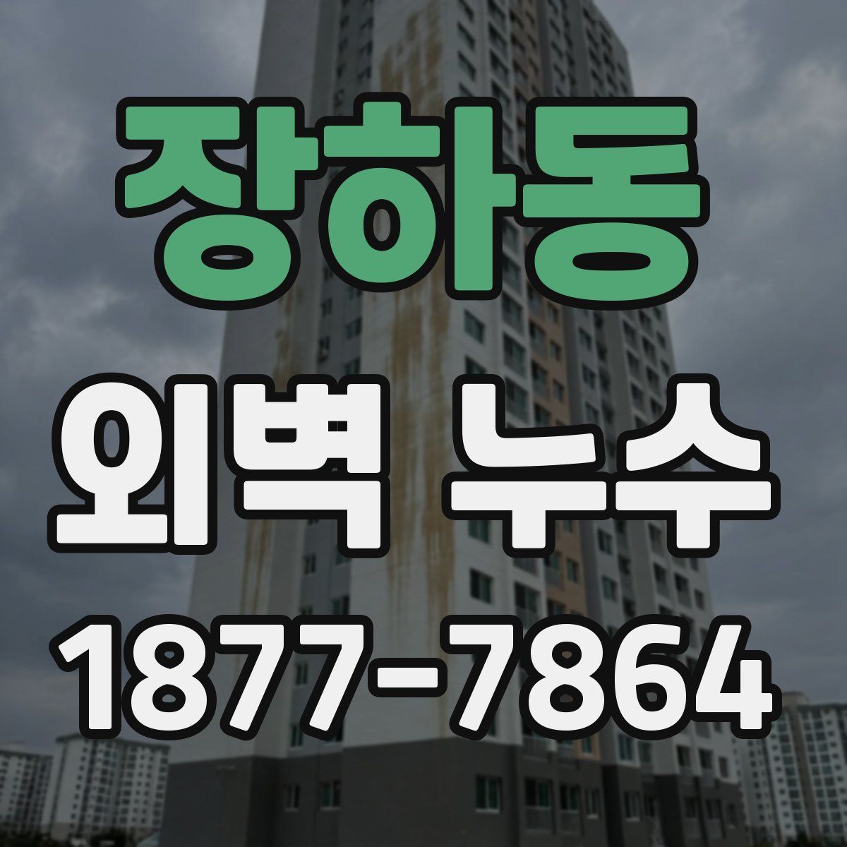 장하동 외벽 누수