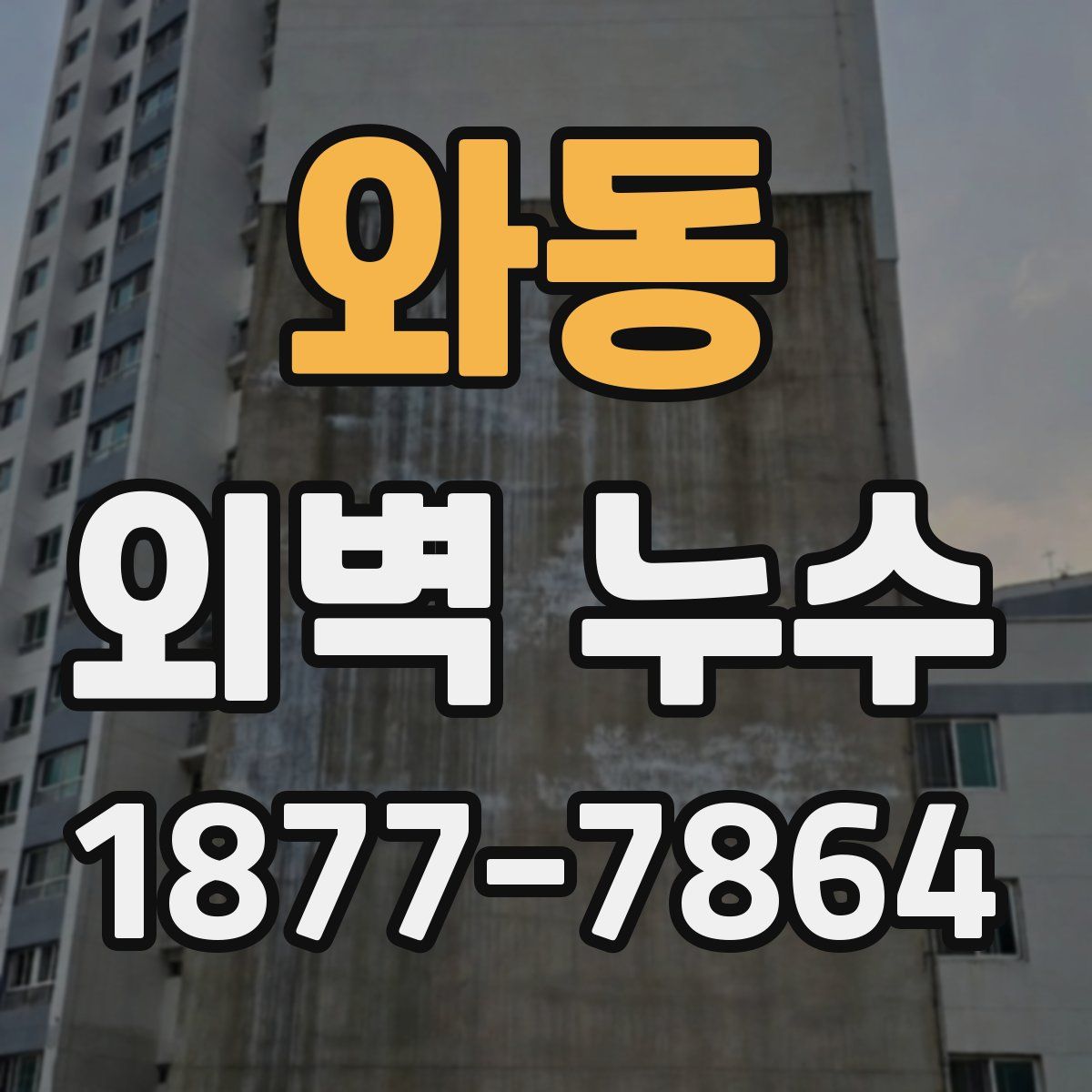 와동 외벽 누수