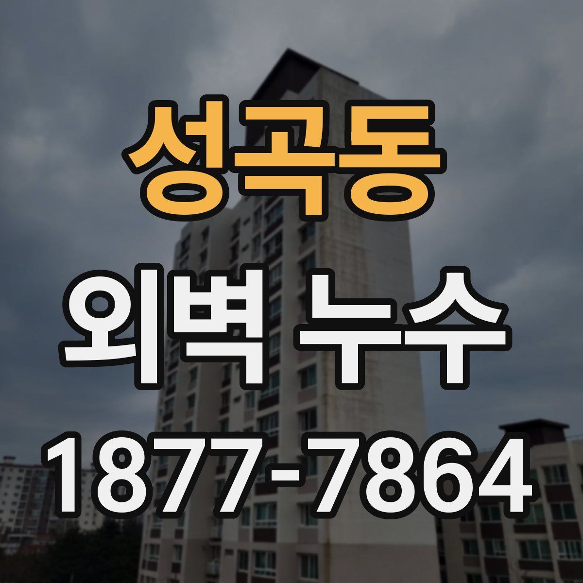 성곡동 외벽 누수