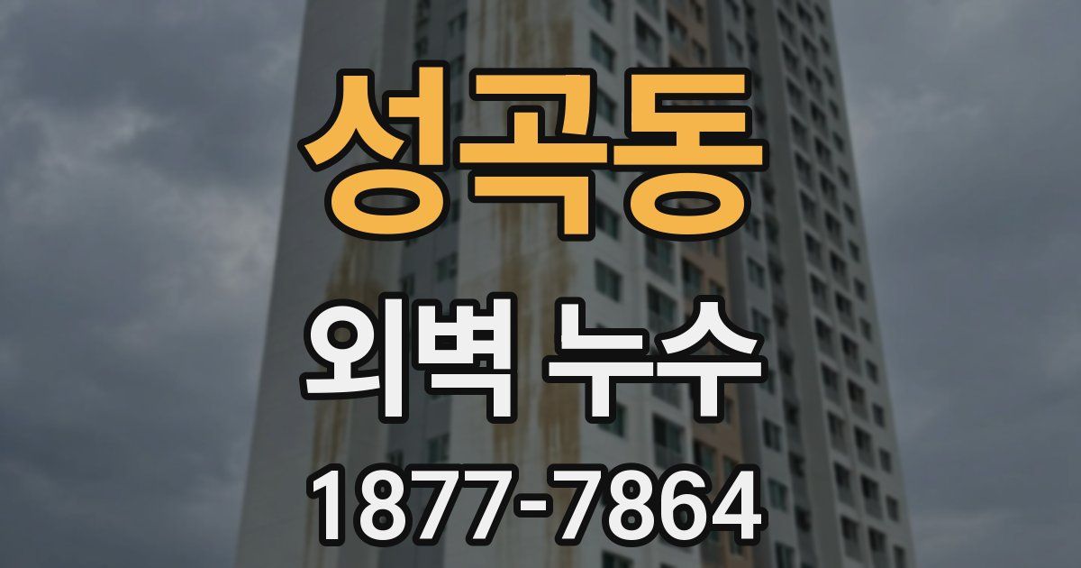 성곡동 외벽 누수