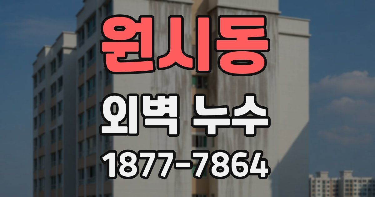 원시동 외벽 누수