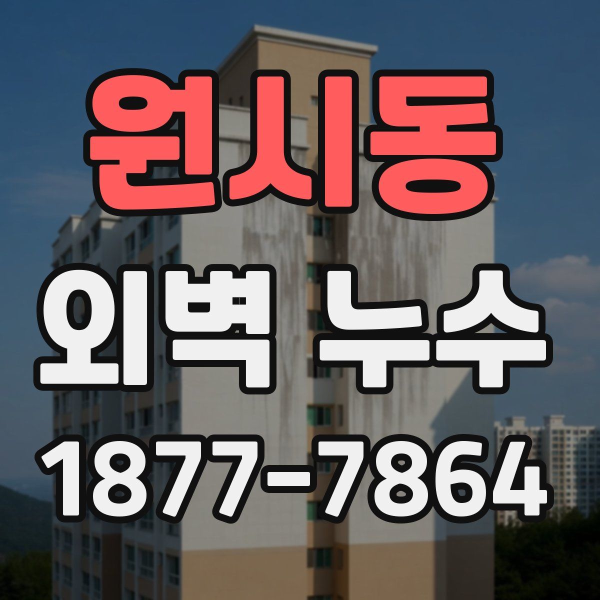 원시동 외벽 누수