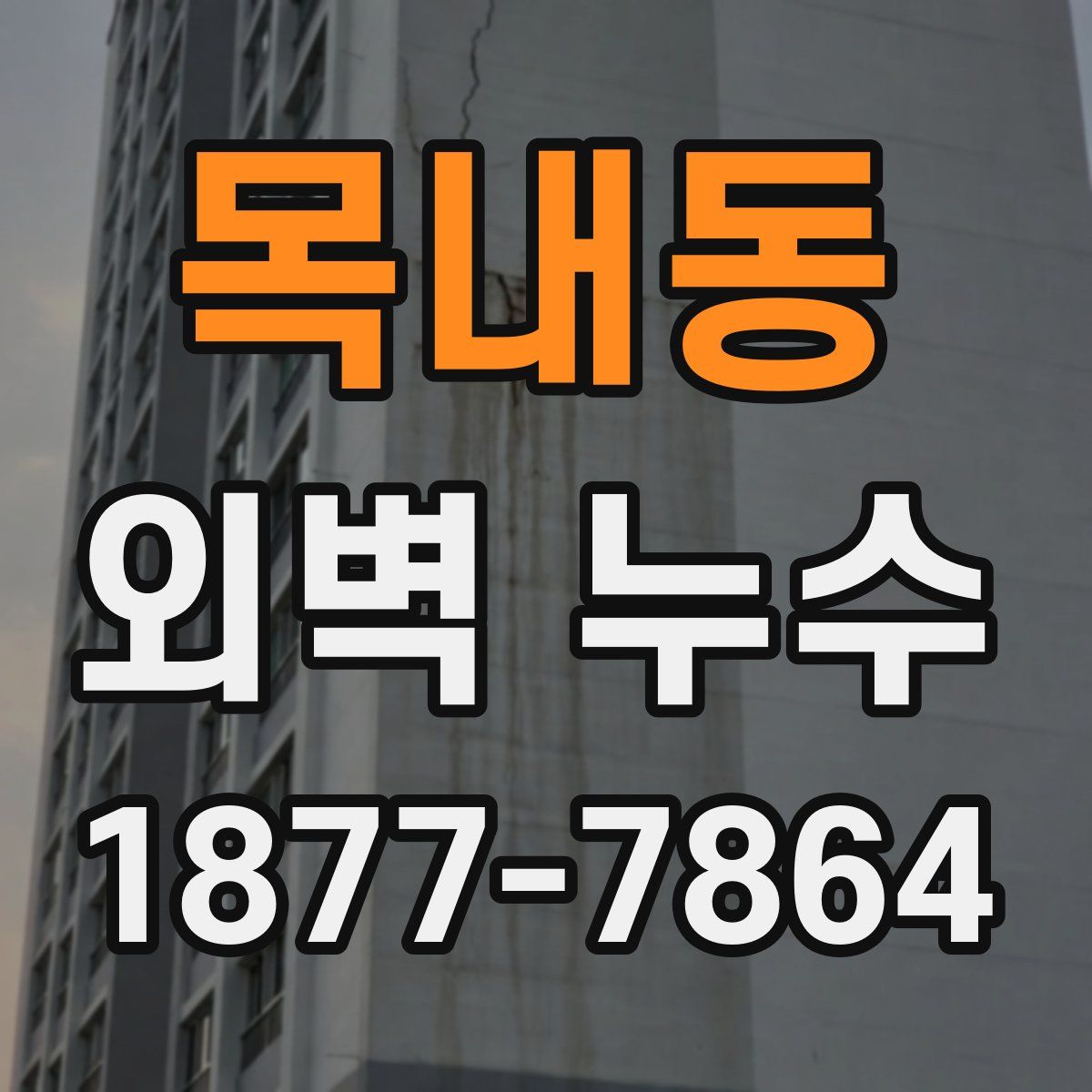 목내동 외벽 누수