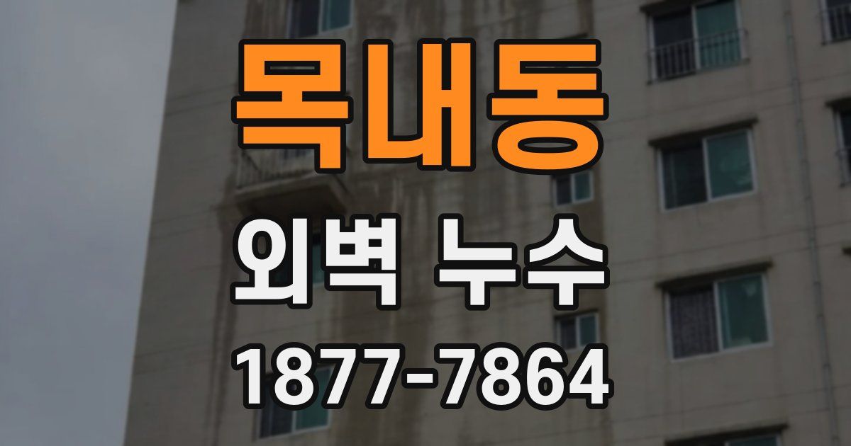 목내동 외벽 누수
