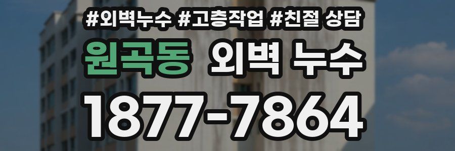 원곡동 외벽 누수