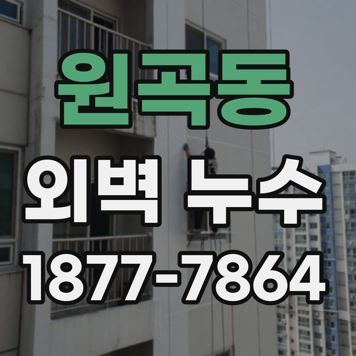 원곡동 외벽 누수