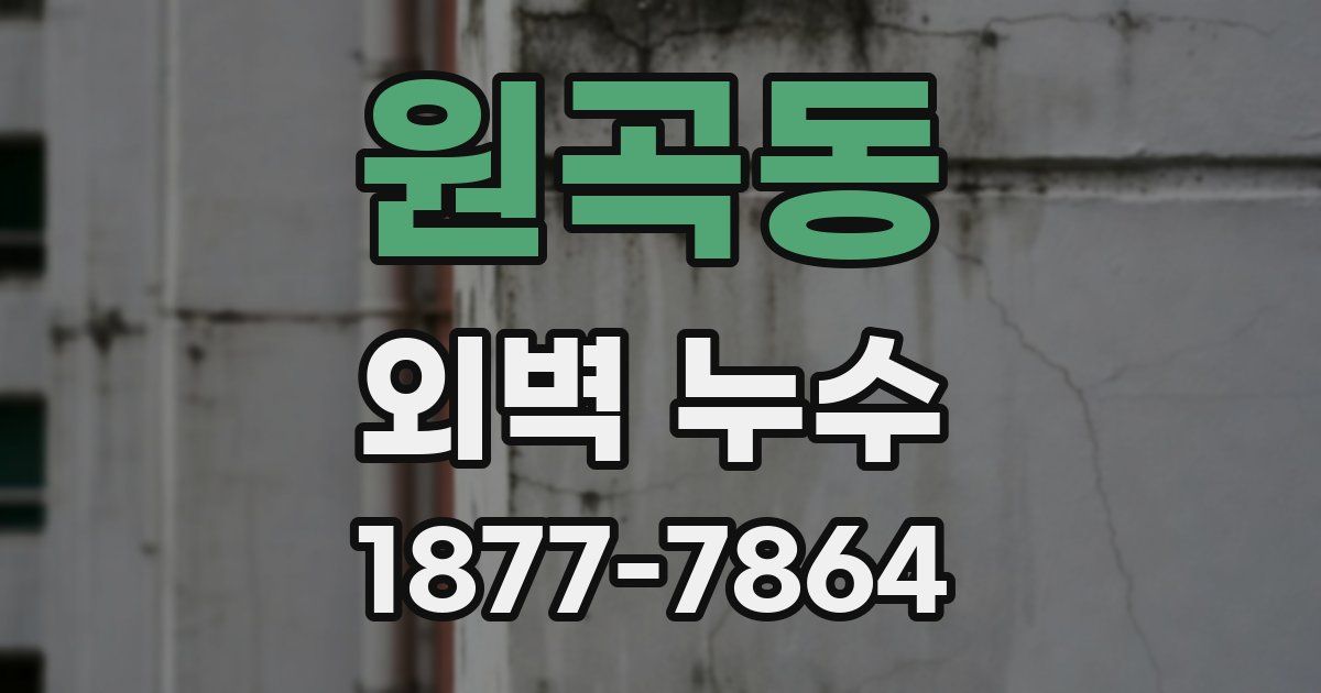 원곡동 외벽 누수