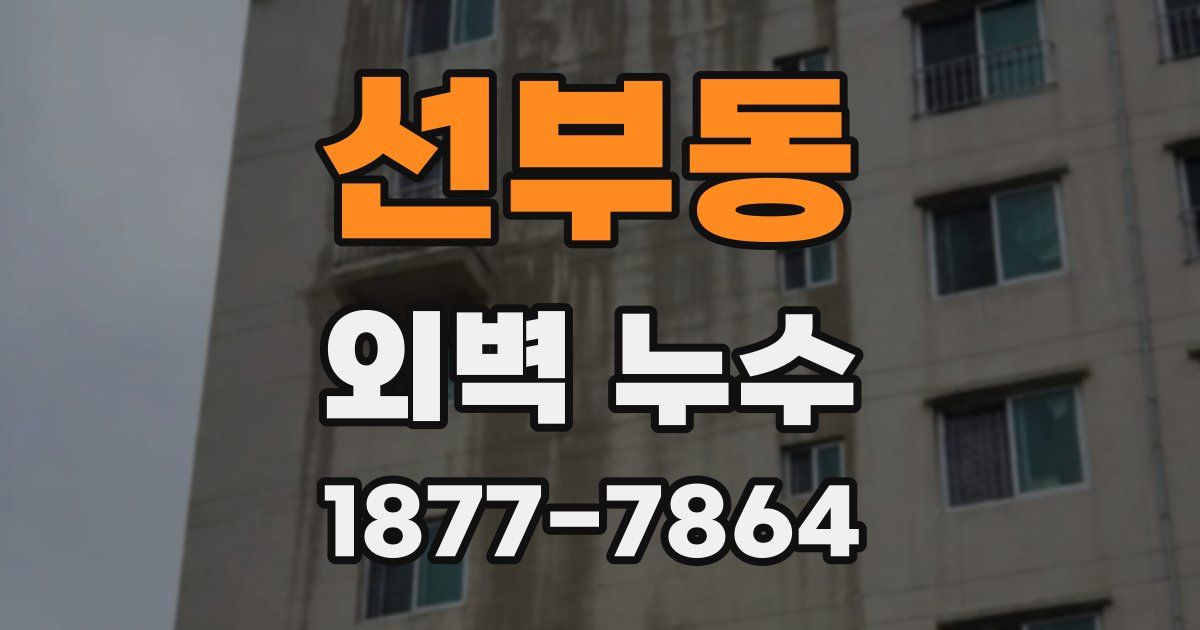 선부동 외벽 누수