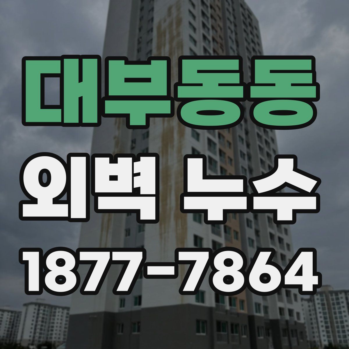 대부동동 외벽 누수