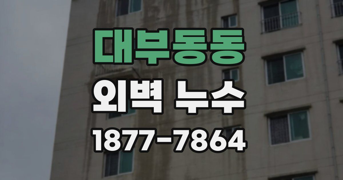 대부동동 외벽 누수