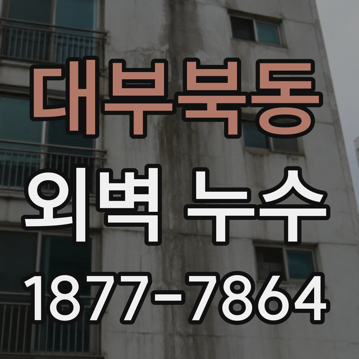 대부북동 외벽 누수