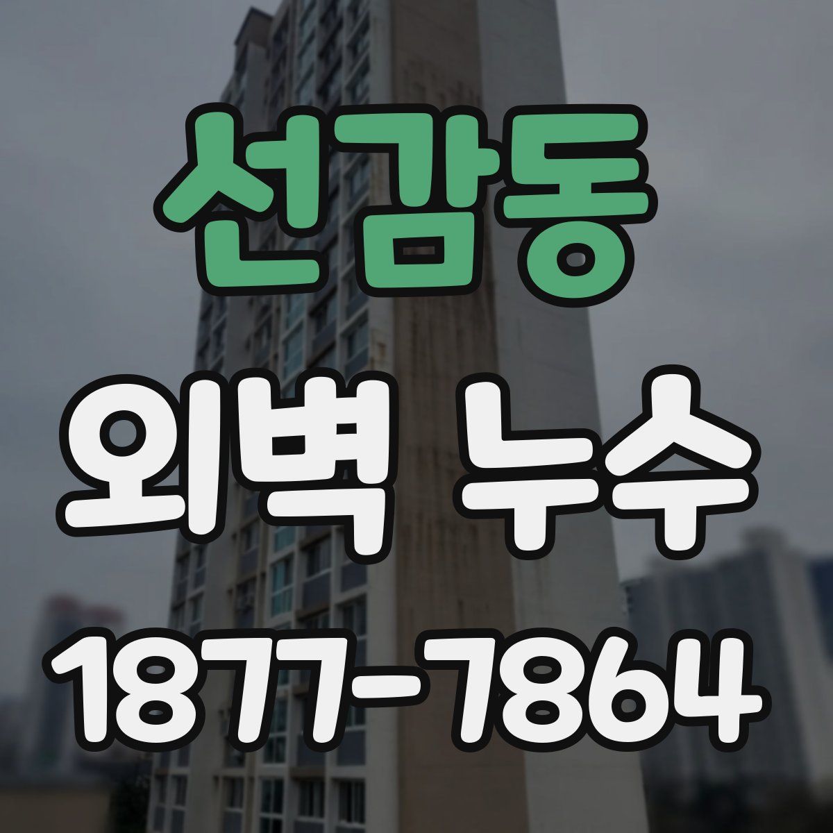선감동 외벽 누수