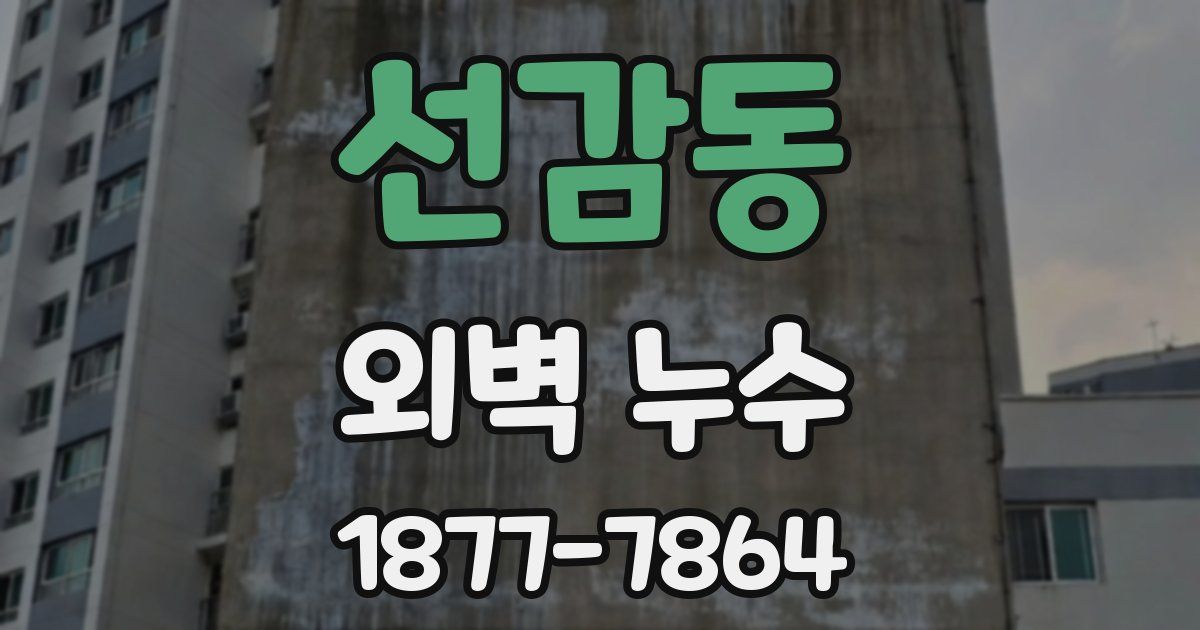 선감동 외벽 누수