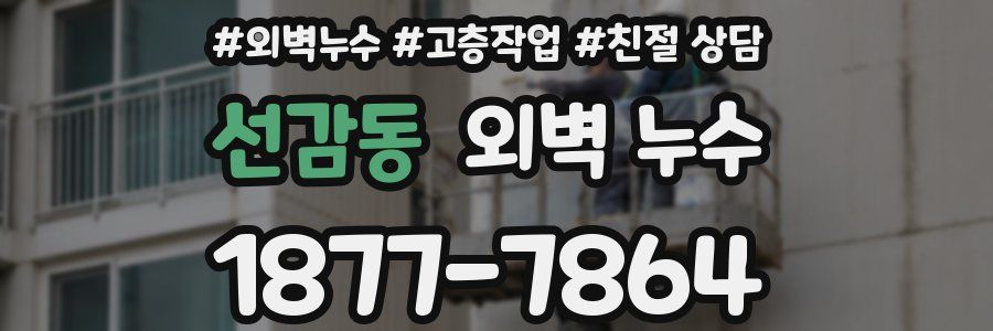 선감동 외벽 누수