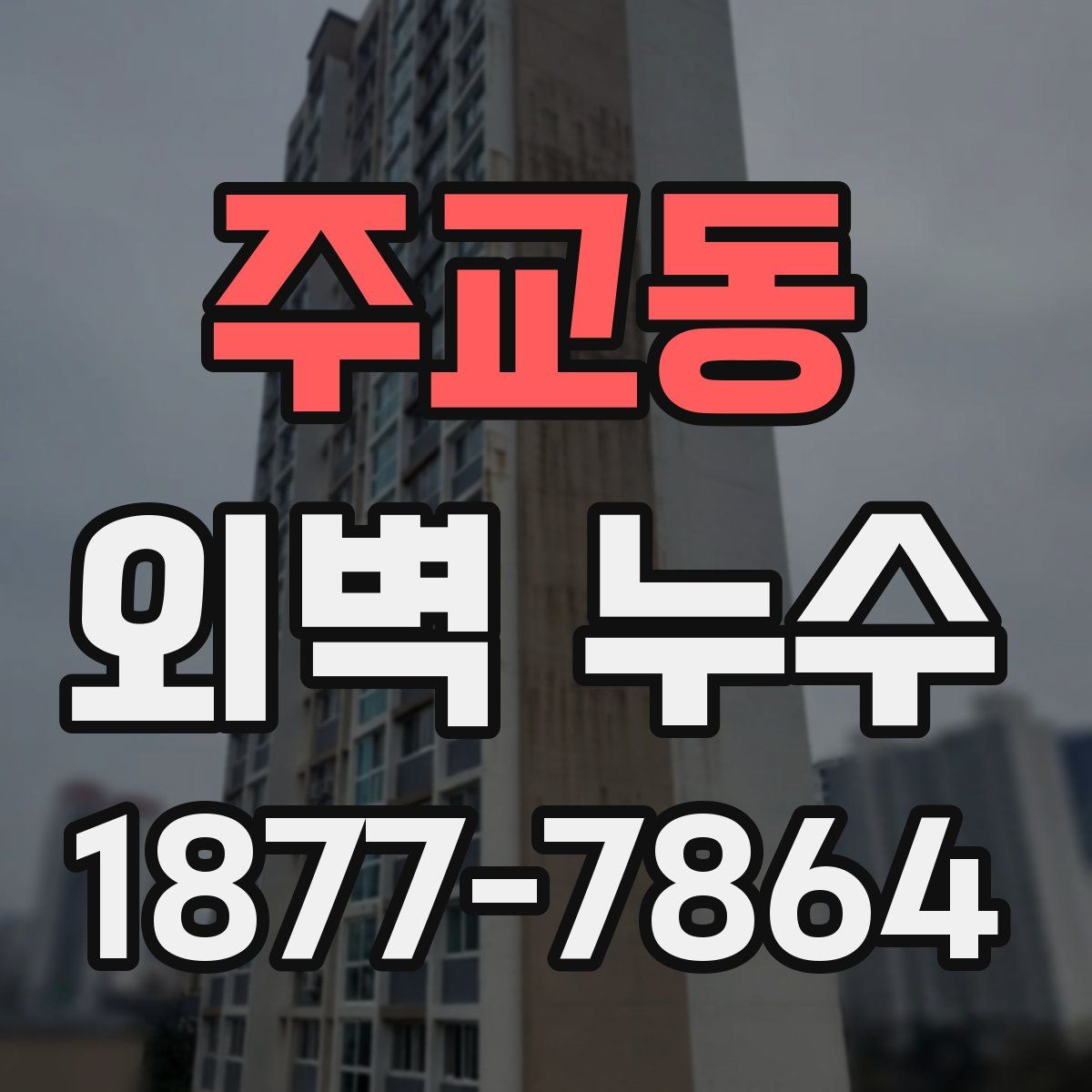 주교동 외벽 누수