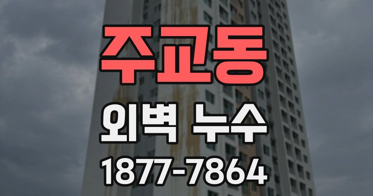 주교동 외벽 누수