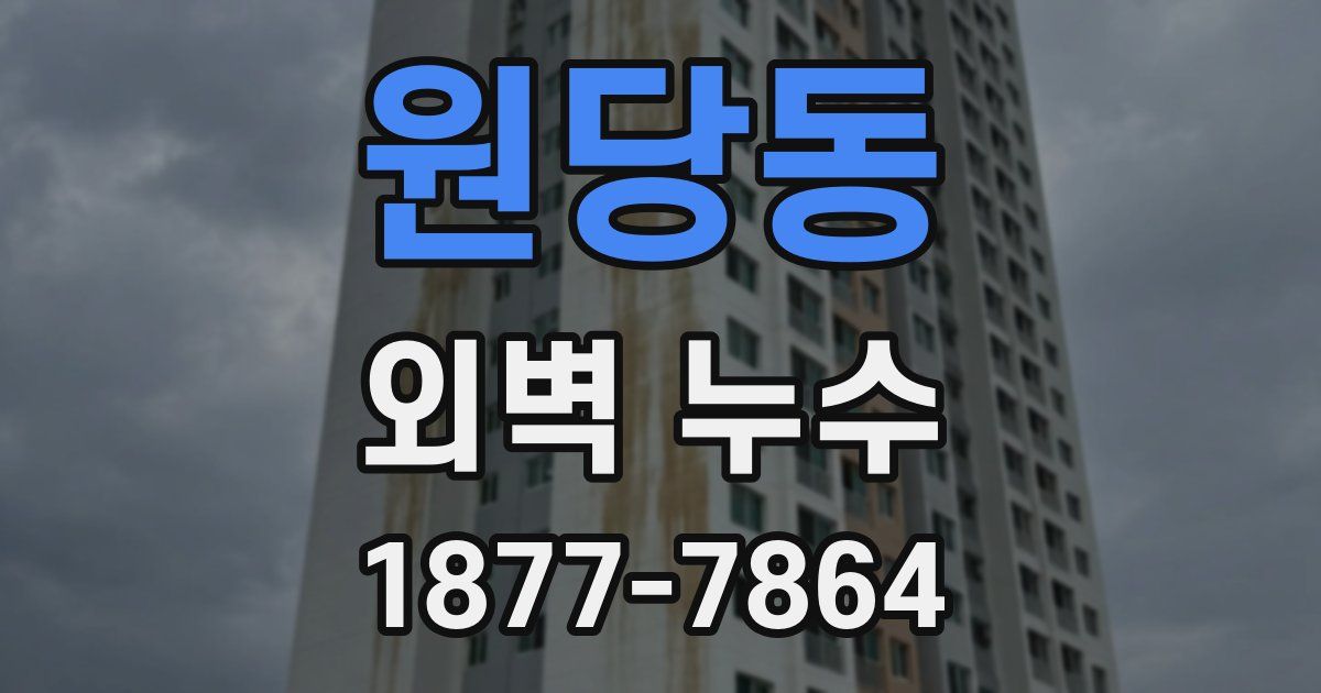 원당동 외벽 누수
