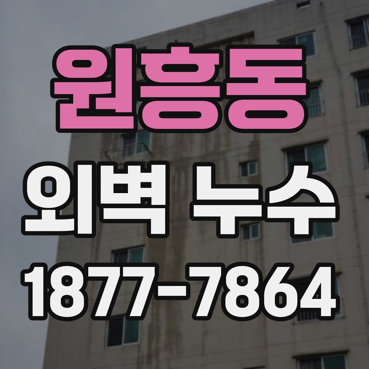 원흥동 외벽 누수