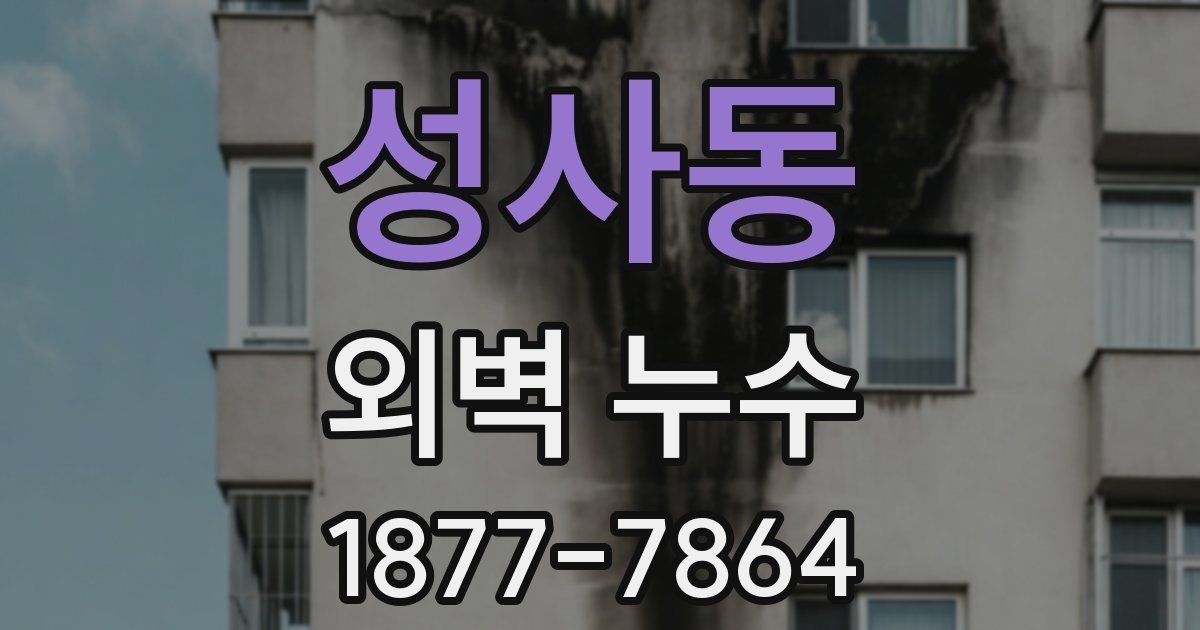 성사동 외벽 누수