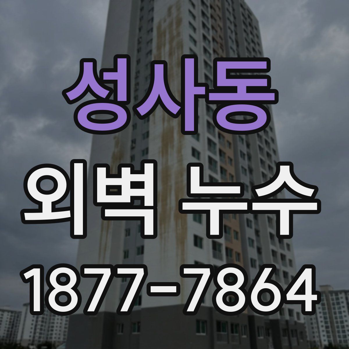 성사동 외벽 누수