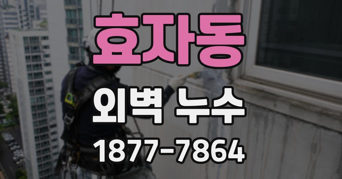 효자동 외벽 누수