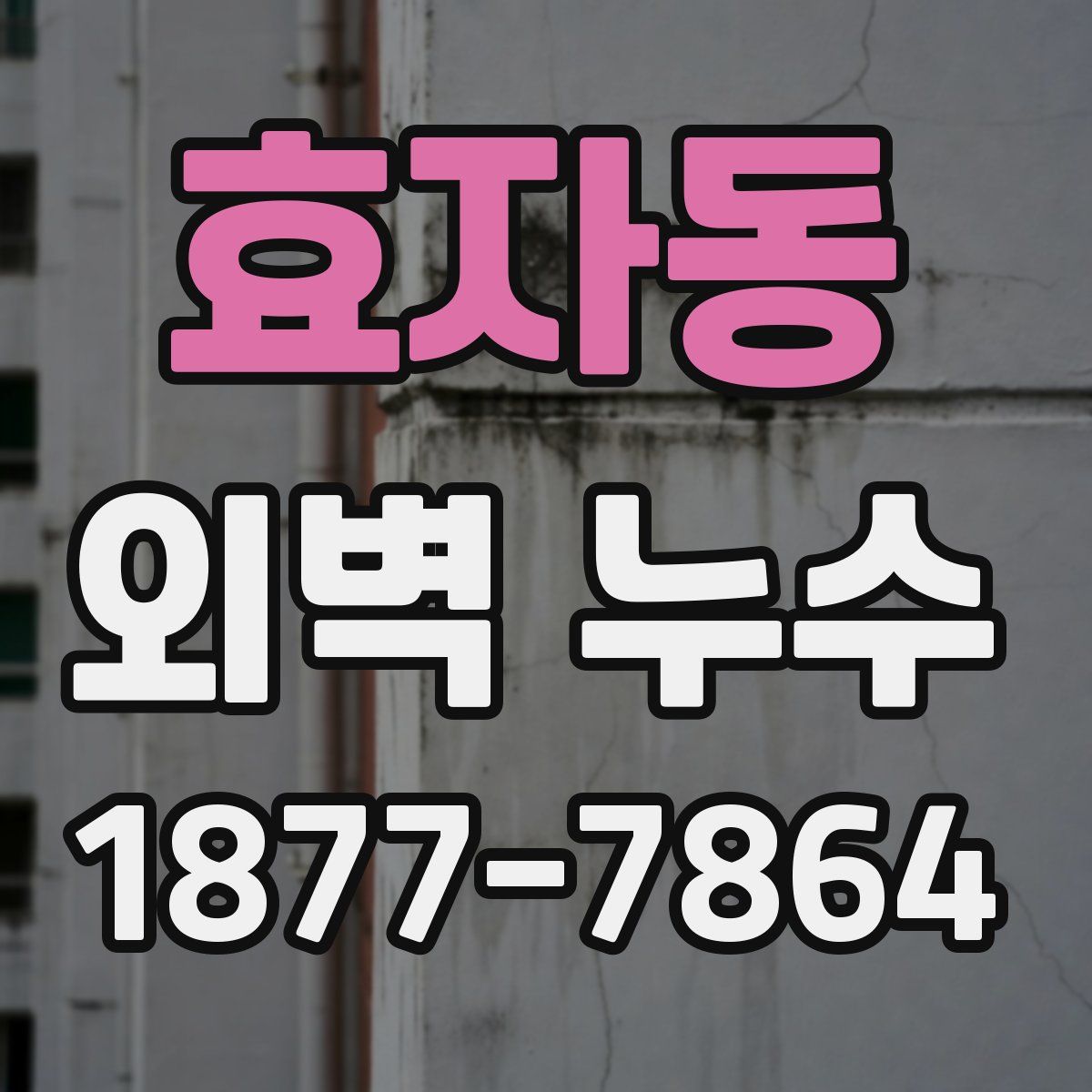 효자동 외벽 누수