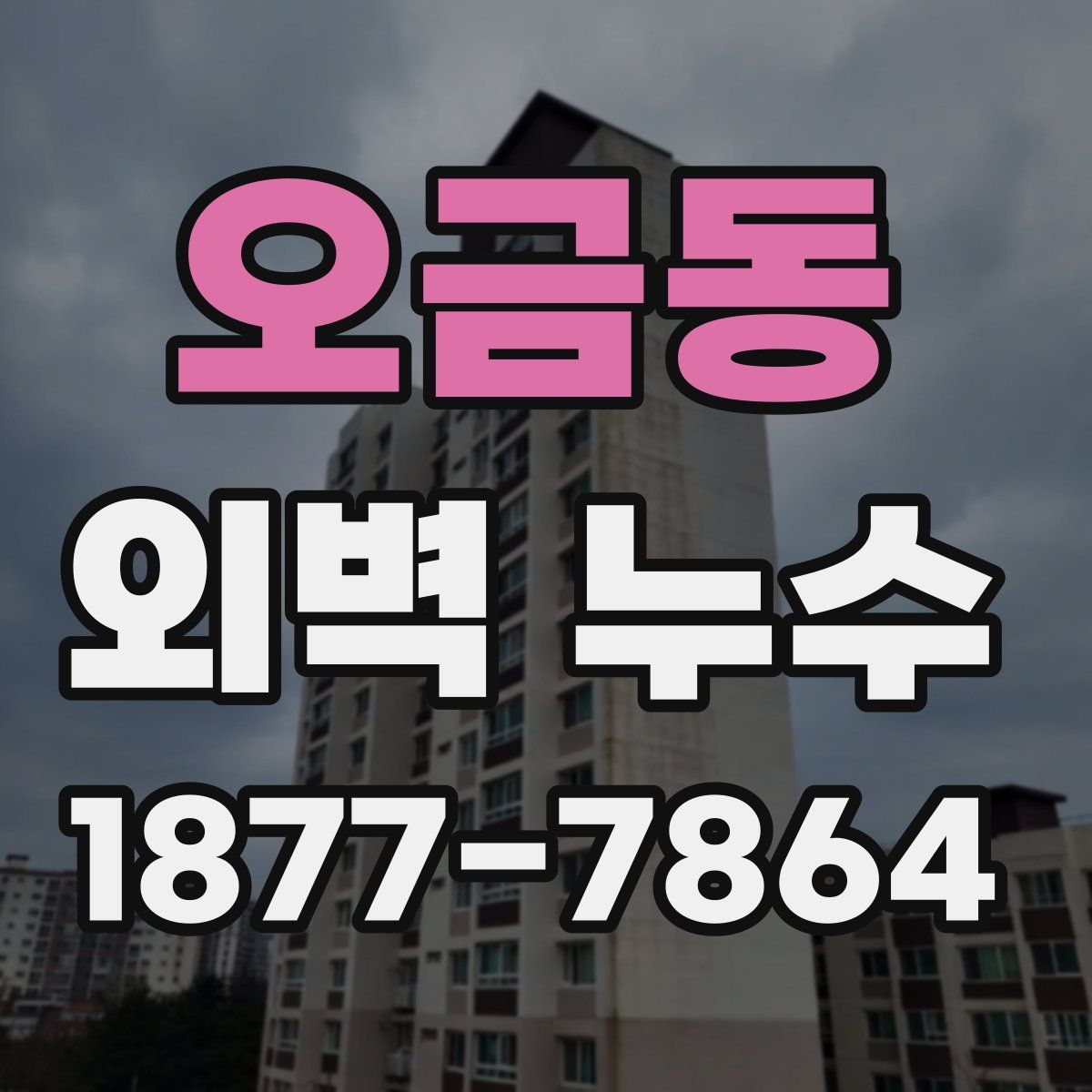 오금동 외벽 누수