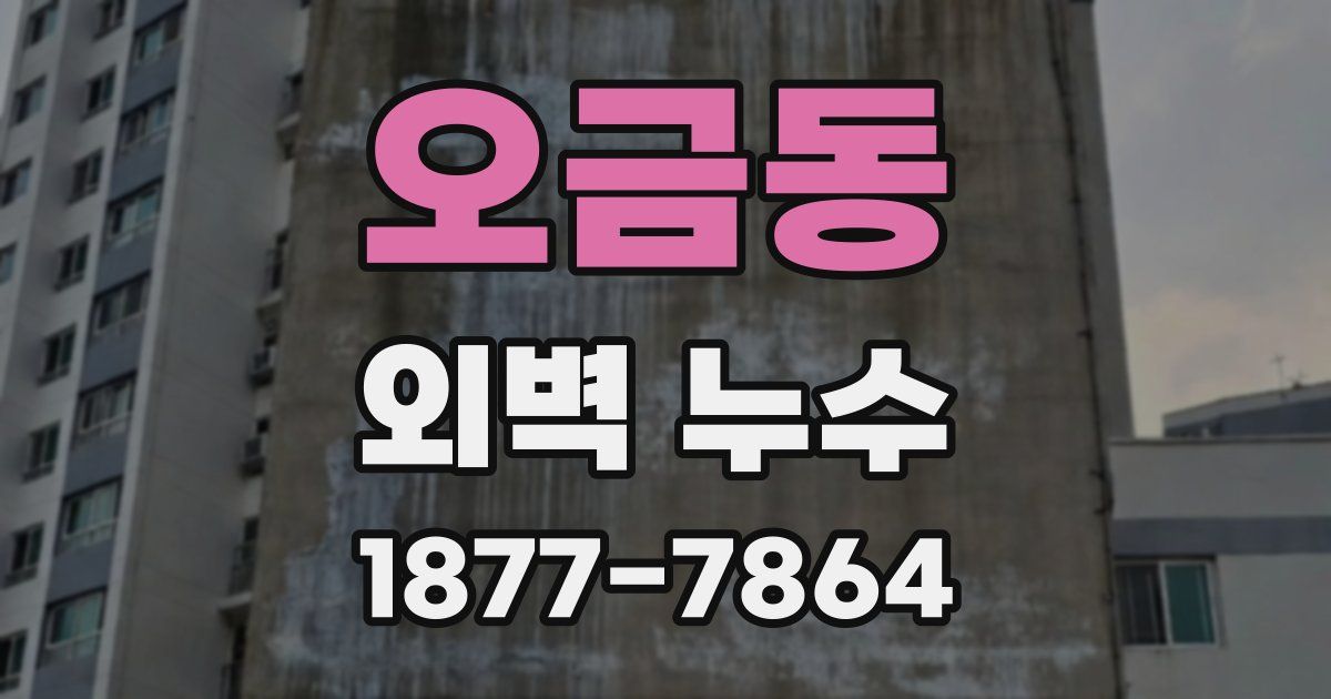 오금동 외벽 누수