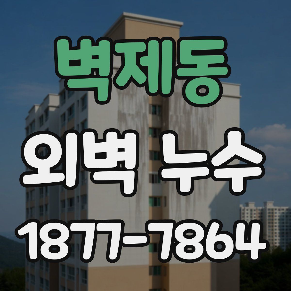 벽제동 외벽 누수