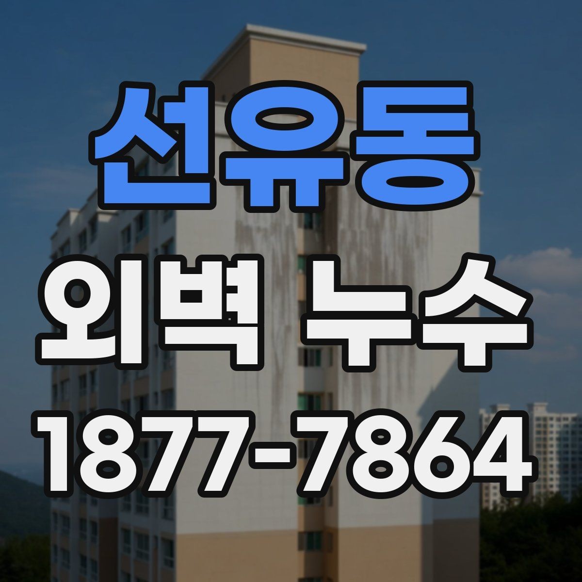 선유동 외벽 누수 예방을 위한 마감재 점검