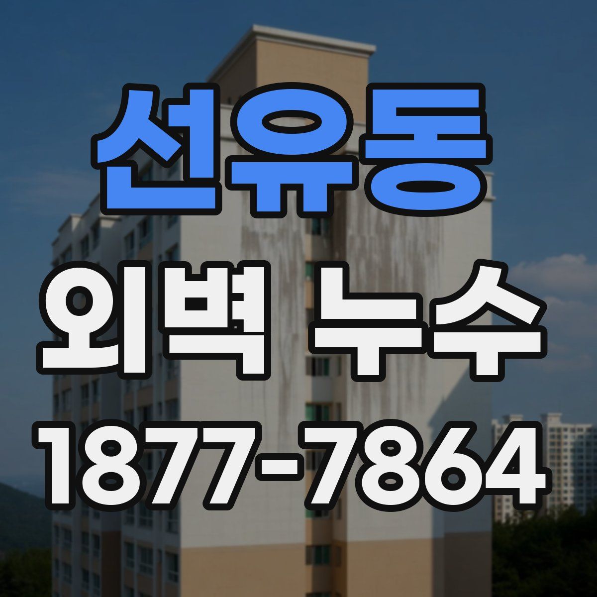 선유동 외벽 누수